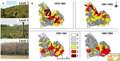 Patterns and Drivers of Pine Processionary Moth Defoliation in Mediterranean <mark class="highlighted">Mountain Forests</mark>